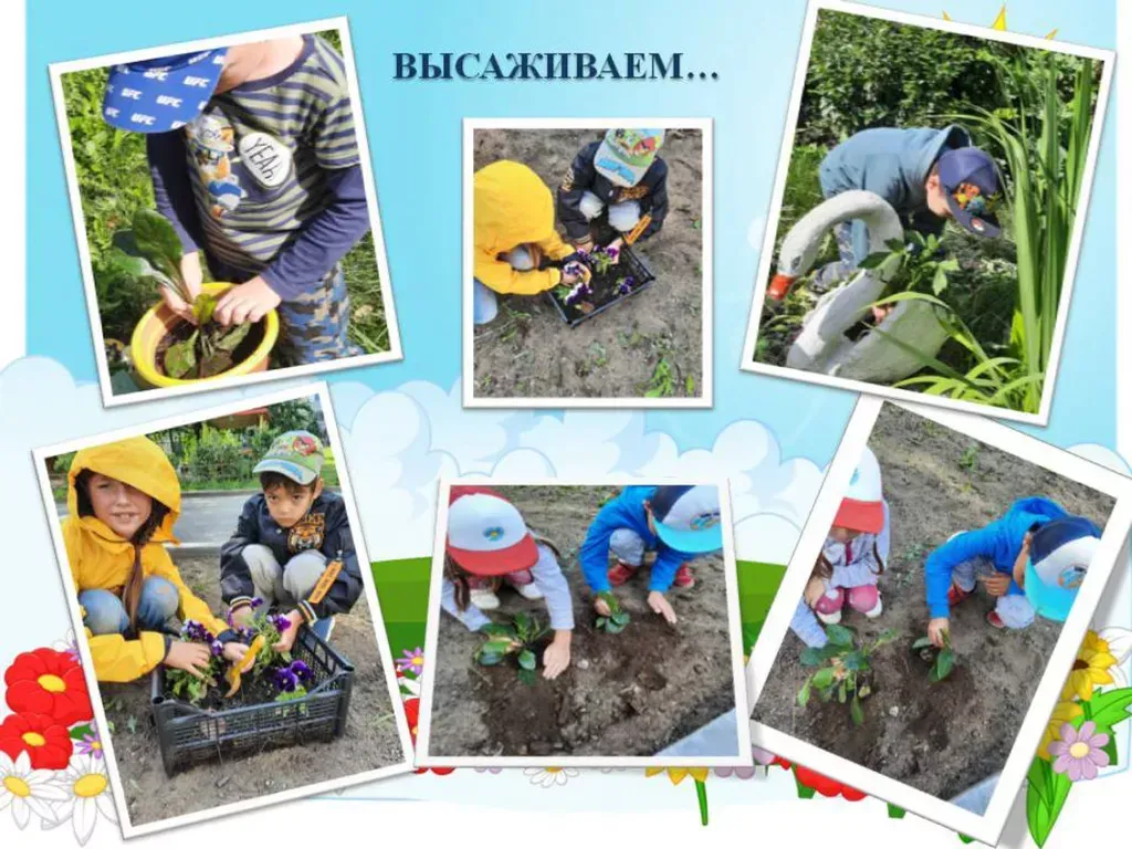высаживаем