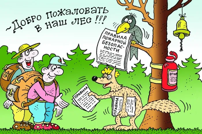 Добро пожаловать в наш лес!