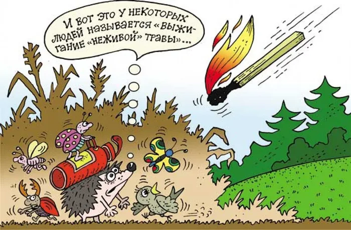 Выжигание "неживой "травы!