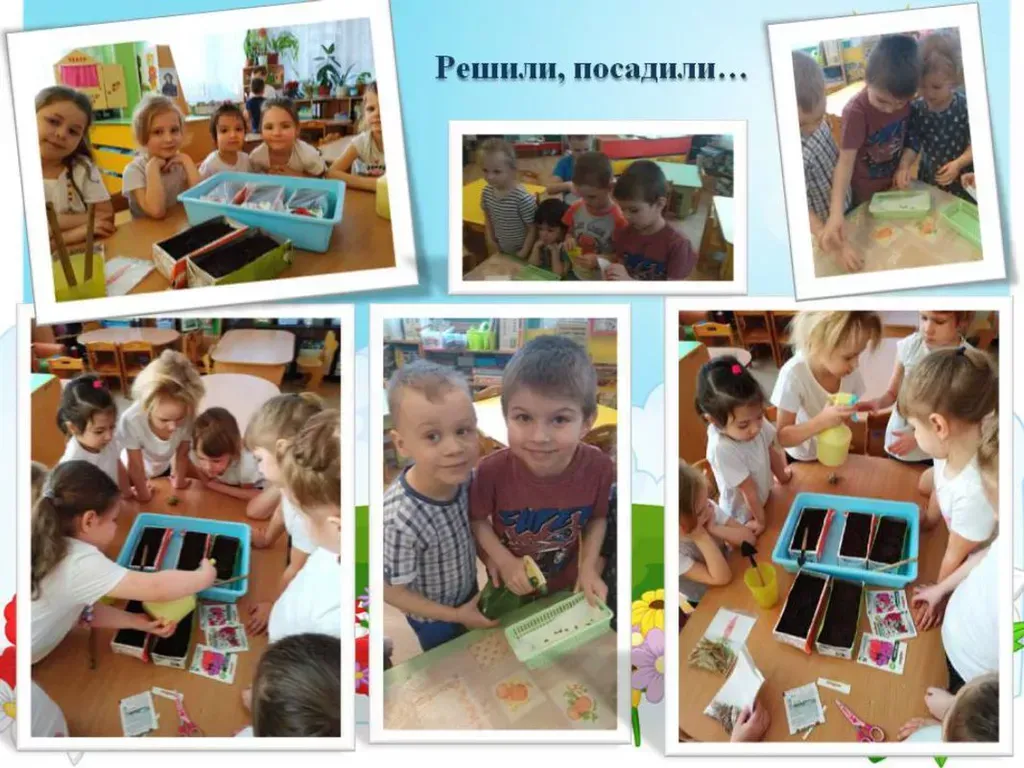 Решили,посадили