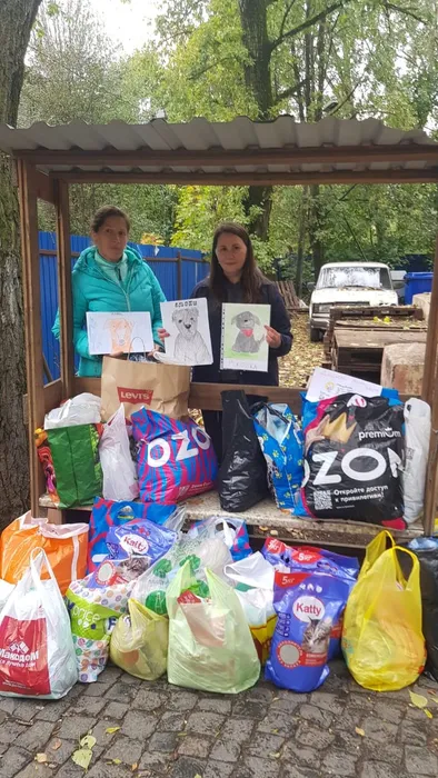 Так много мы собрали - доу 51