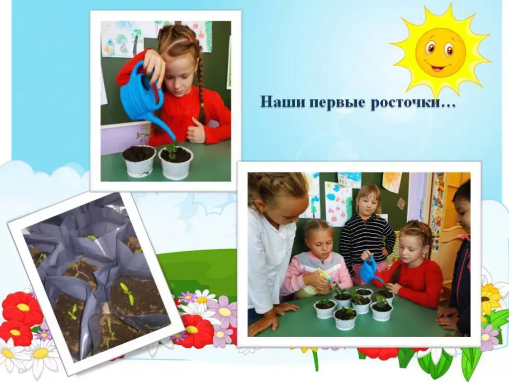 Наши первые росточки