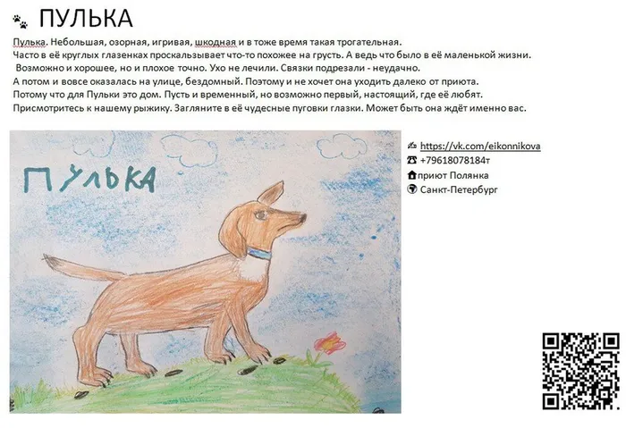 она уже дома - пулька!